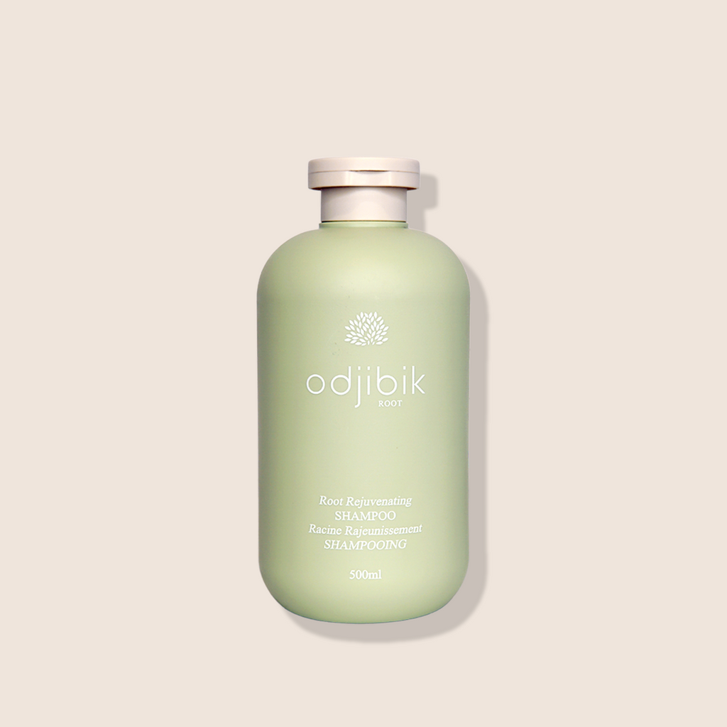 Odjibik Root Rejuvenating Shampoo bottle — Korean clarifying shampoo for thinning hair