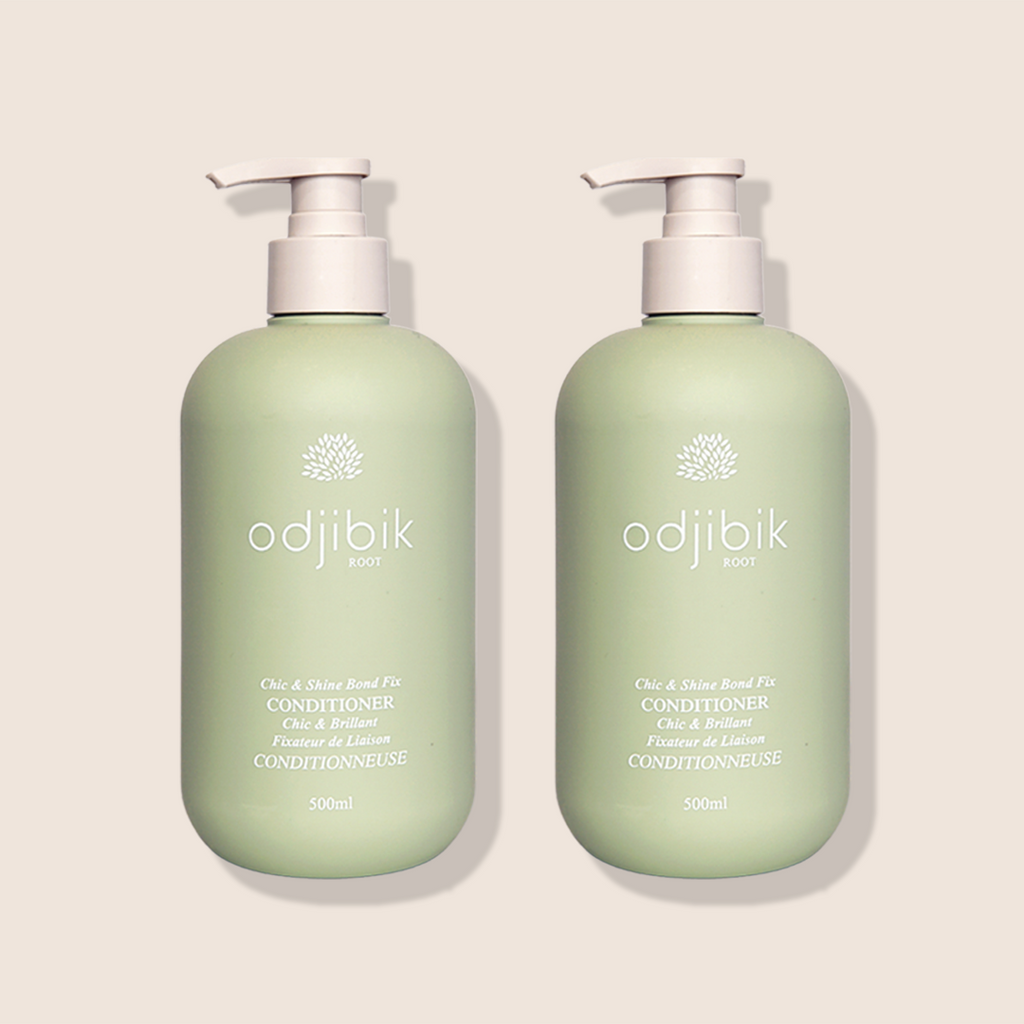 Odjibik Deep Hydration Duo — Korean head spa conditioner and damage care essence